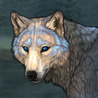 Wolf’s Bite Headshot