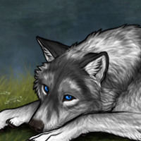 Wolf Headshot