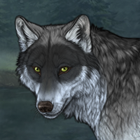 Wolf Headshot