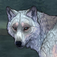 Seer'Search Headshot