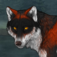 Wolf Headshot