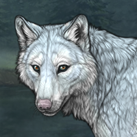 Spdagi piebald Headshot