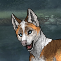 Huskyclaw Headshot