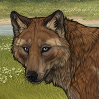 Ginoia Headshot