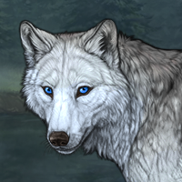 Wolf Headshot