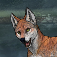 Storm Fox Headshot