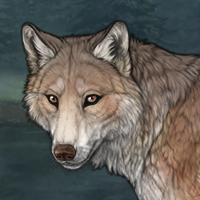 Breeder Wolf Pup Headshot