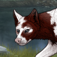 piebald Headshot