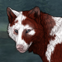 piebald Headshot