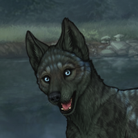 New Puppy Headshot