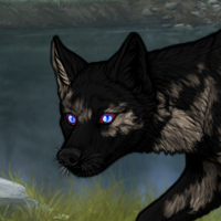 Rainpelt Headshot