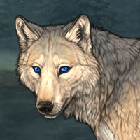 Wolf Headshot