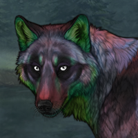 Kosh Headshot