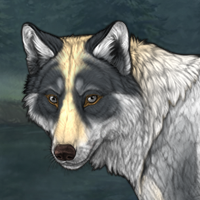 Wolf Headshot