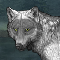 Wolf Headshot