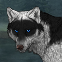 Wolf Headshot