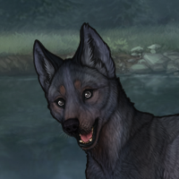 Blueschist Headshot