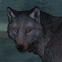 Blueschist Headshot