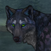 Blueschist Headshot