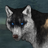 Wolf Headshot