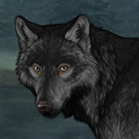 Wolf Headshot