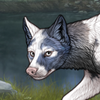 Piebald Headshot