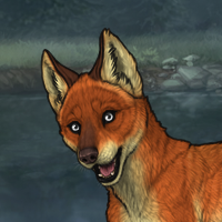 Female Fox Headshot