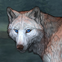 Wolf Headshot