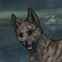 Skarn pup Headshot