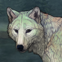 Forest spirit Headshot