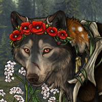 Wolf Headshot