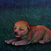 Blueschist pup Headshot