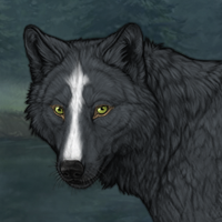 Wolf Headshot