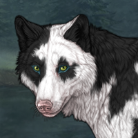 🍂Piebald: Torn🍂 Headshot