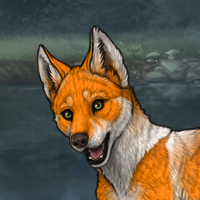 Crimson Fox Headshot