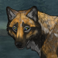 Forge Headshot