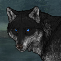 Wolf Headshot