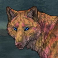 Herbalist Headshot