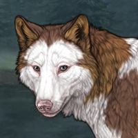 Piebald: Frontal Headshot