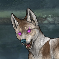 Piebald: Frontal Headshot