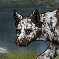 Acanthite, 6xMerle, Male Headshot