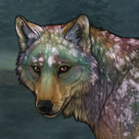 Geode Headshot
