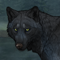 nightfury Headshot