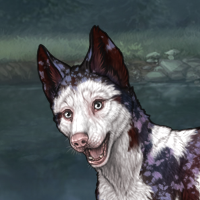 T4 - Piebald Frontal Headshot