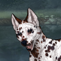 T2 G5 black merle Headshot