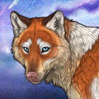 Kindle Fox 3️⃣ 🌠 Headshot
