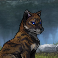 Thylacine Headshot