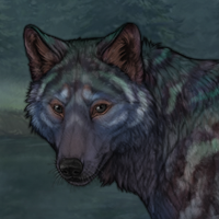 Blueschist 5 markings Headshot