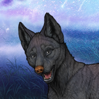 female gray pup sell Headshot