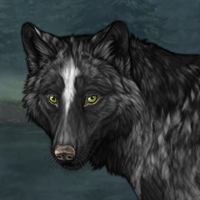 Wolf Headshot